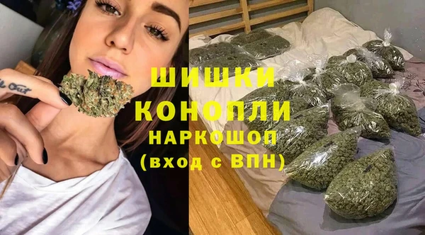 ПСИЛОЦИБИНОВЫЕ ГРИБЫ Ельня