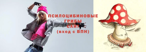 винт Осташков