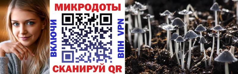Псилоцибиновые грибы GOLDEN TEACHER  omg рабочий сайт  Армянск 